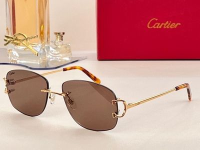 Cartier Sunglasses 765
